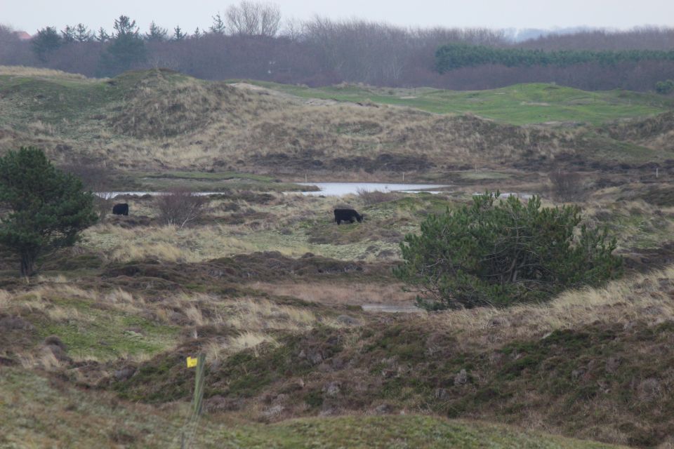 Texel im Winter 2019