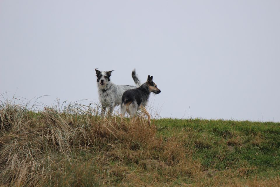 Texel im Winter 2019