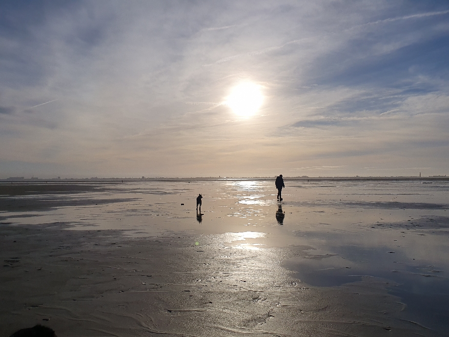 Texel 2024