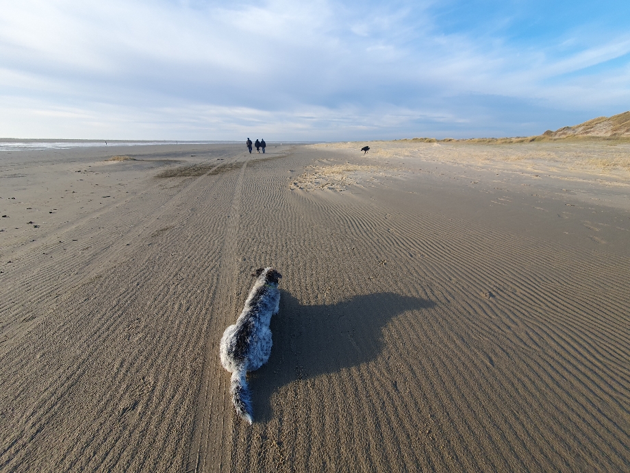 Texel 2024
