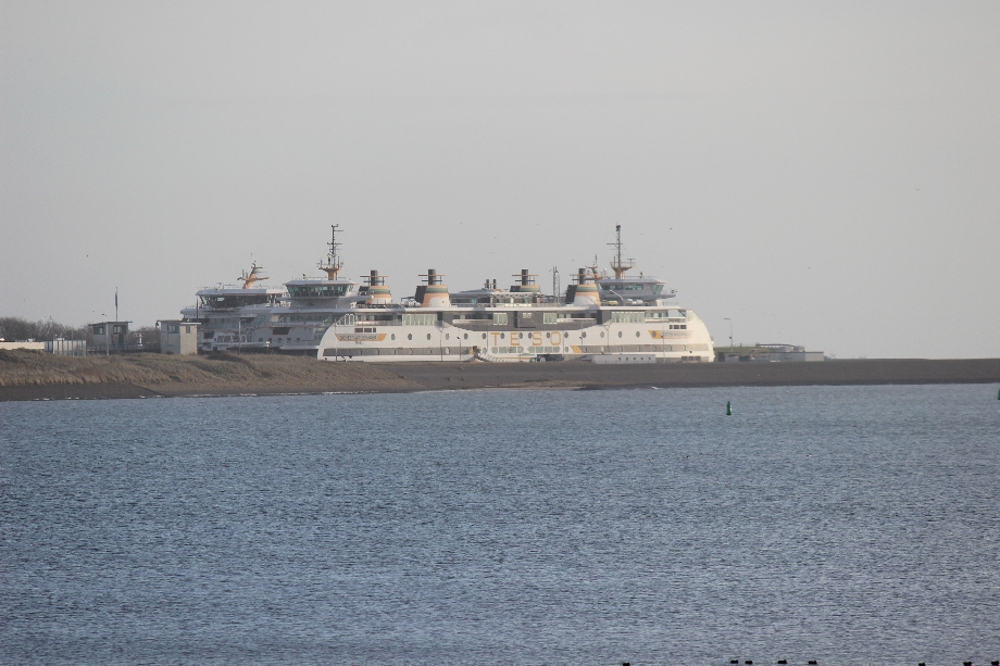 Texel 2024