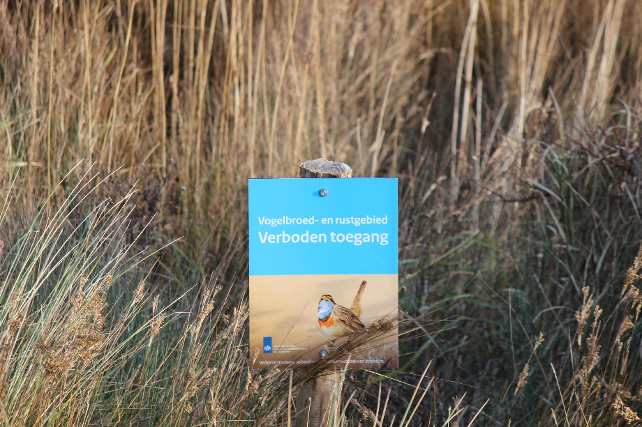 Texel 2024