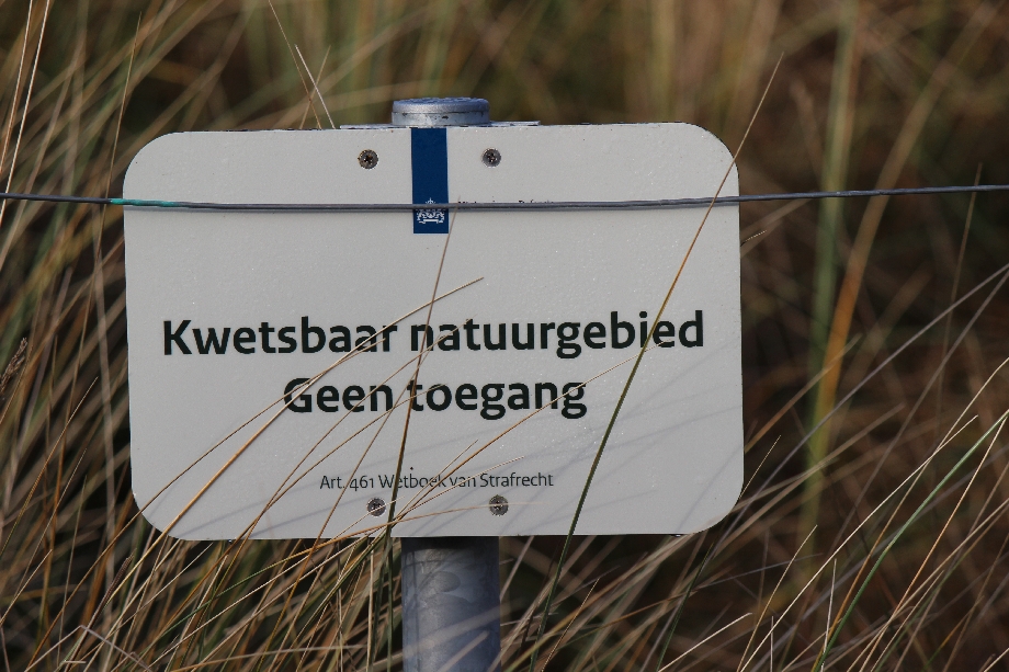 Texel 2024
