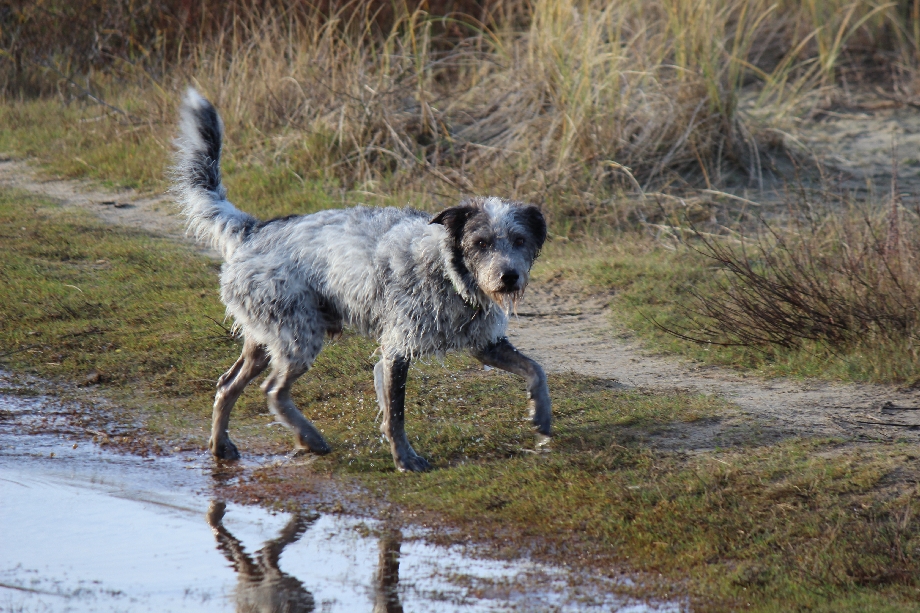 Texel 2024