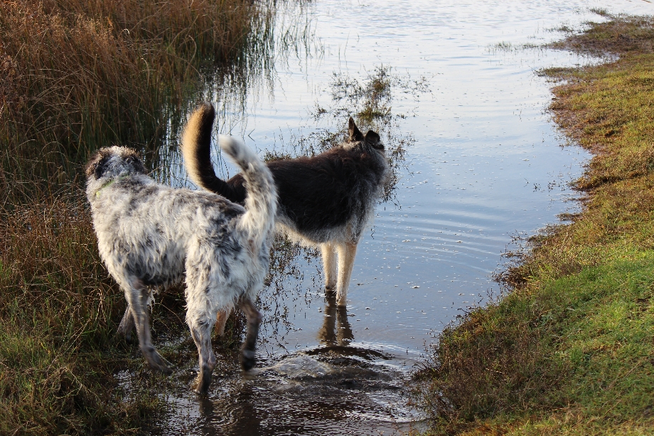 Texel 2024