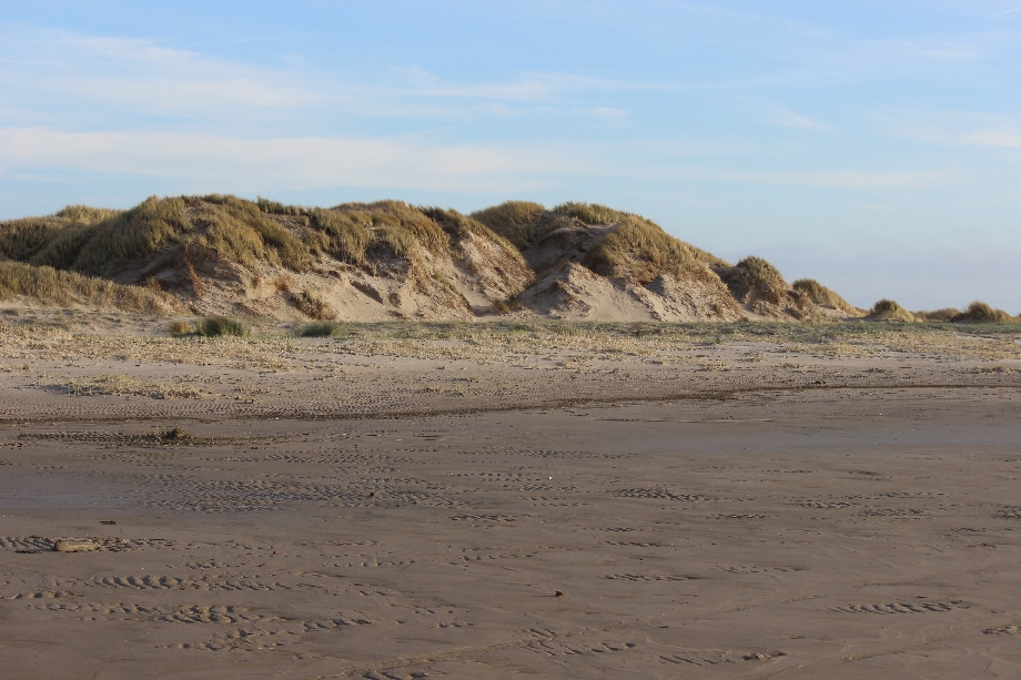 Texel 2024