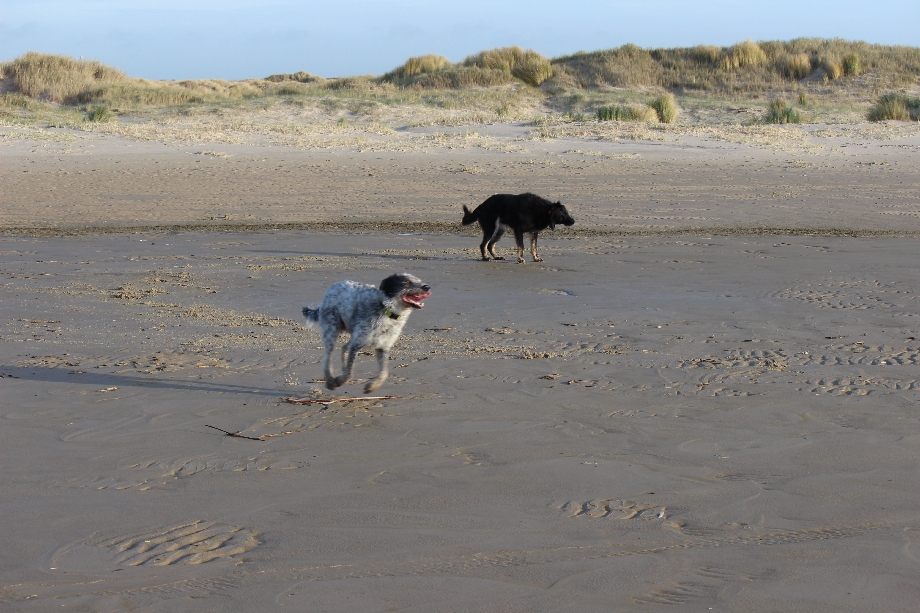 Texel 2024