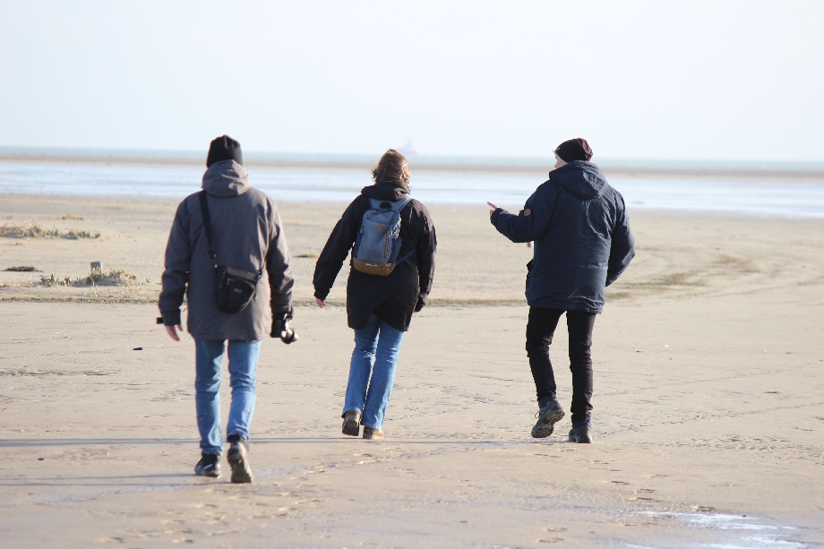 Texel 2024