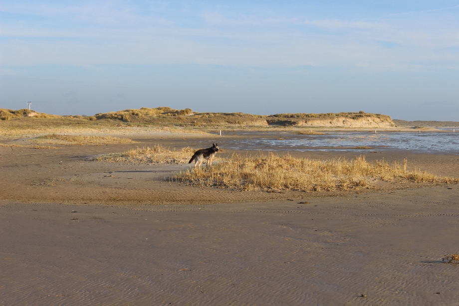 Texel 2024