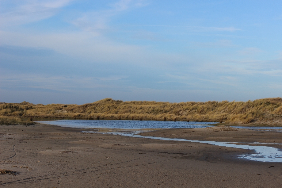 Texel 2024