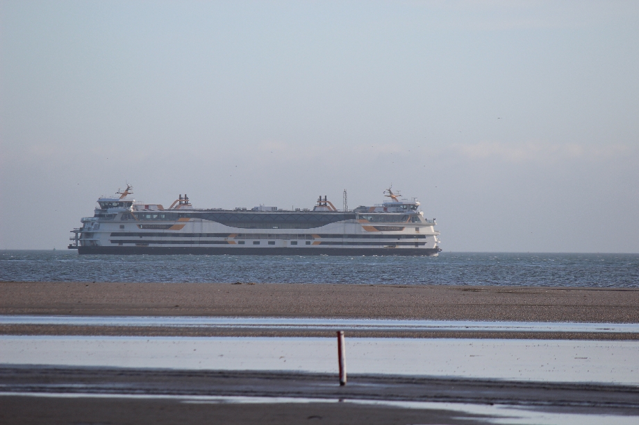 Texel 2024