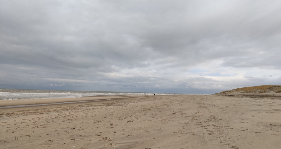 Texel 2024