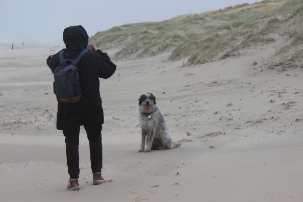 Hannes auf Texel 2022
