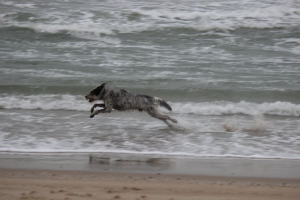 Hannes auf Texel 2022