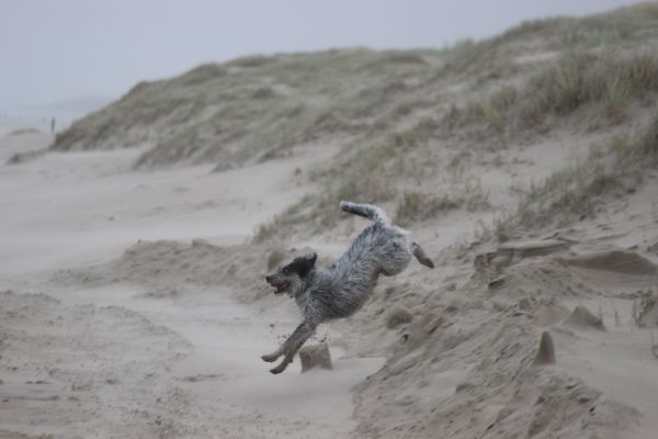 Hannes auf Texel 2022