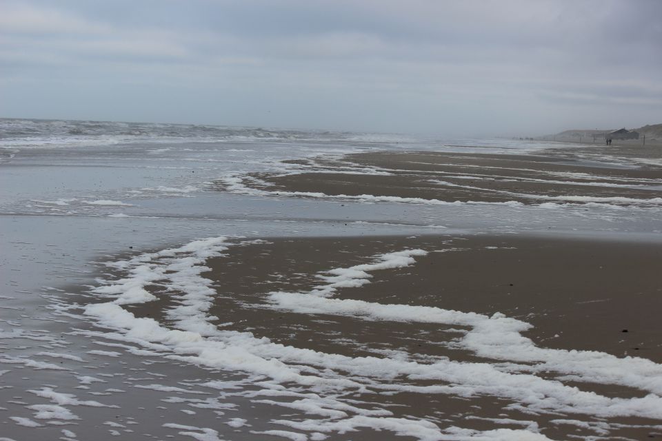 Lula auf Texel - Erster Urlaub