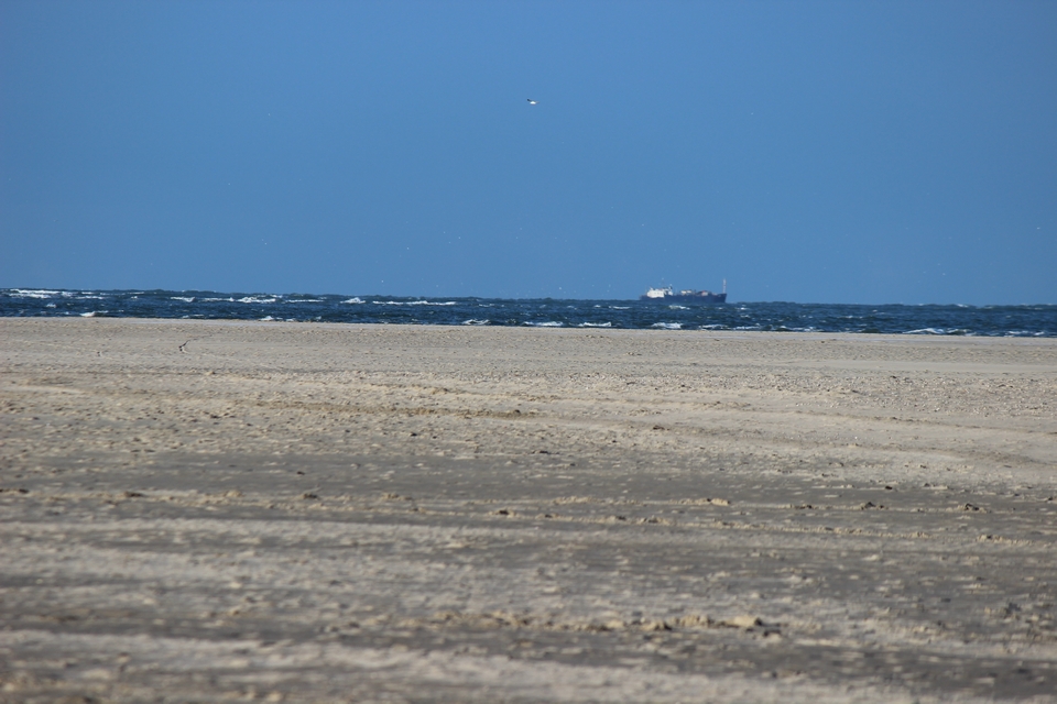 Texel im Winter 2021