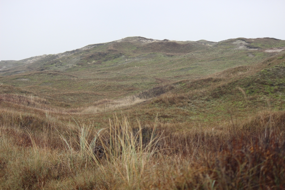Texel im Winter 2021