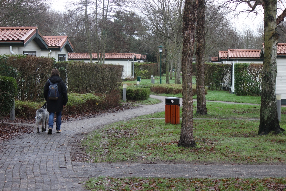 Texel im Winter 2021