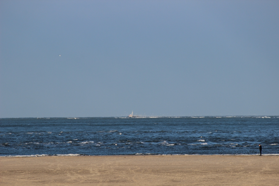Texel im Winter 2021