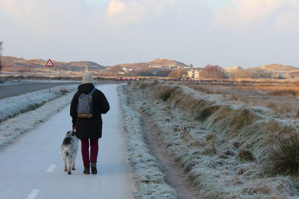 Texel im Winter 2022