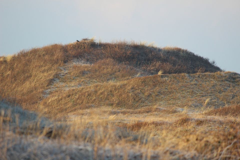 Texel im Winter 2022