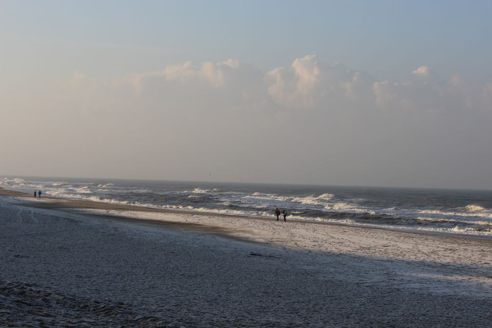Texel im Winter 2022