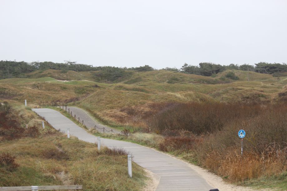 Texel im Winter 2022
