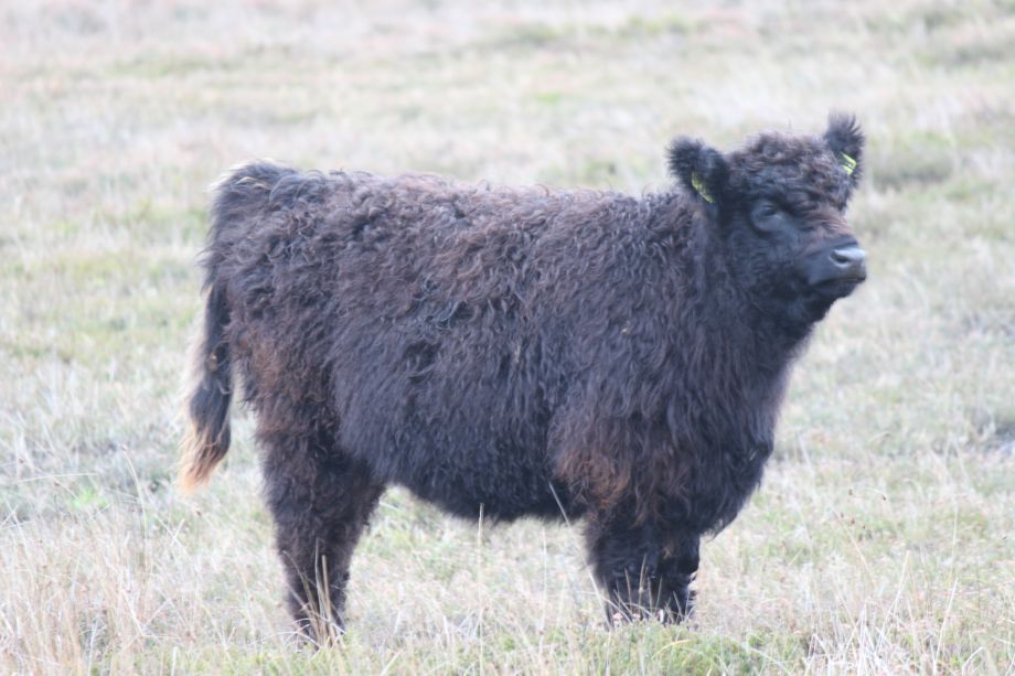 Texel im Winter 2022