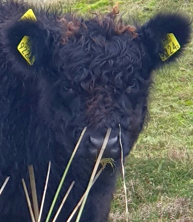 Texel im Winter 2022