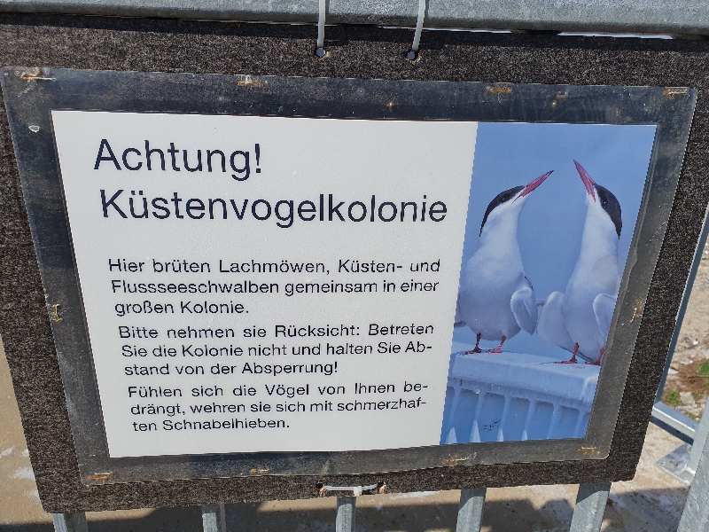 Bildersammlung Tönning 2024 - unsortiert und nicht kommentiert