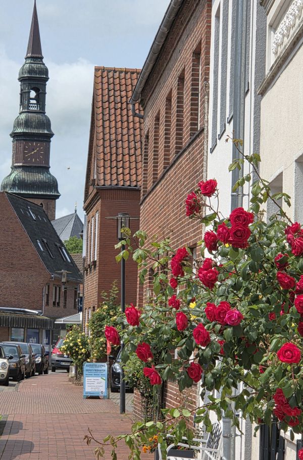 Bildersammlung Tönning 2025 - unsortiert und nicht kommentiert